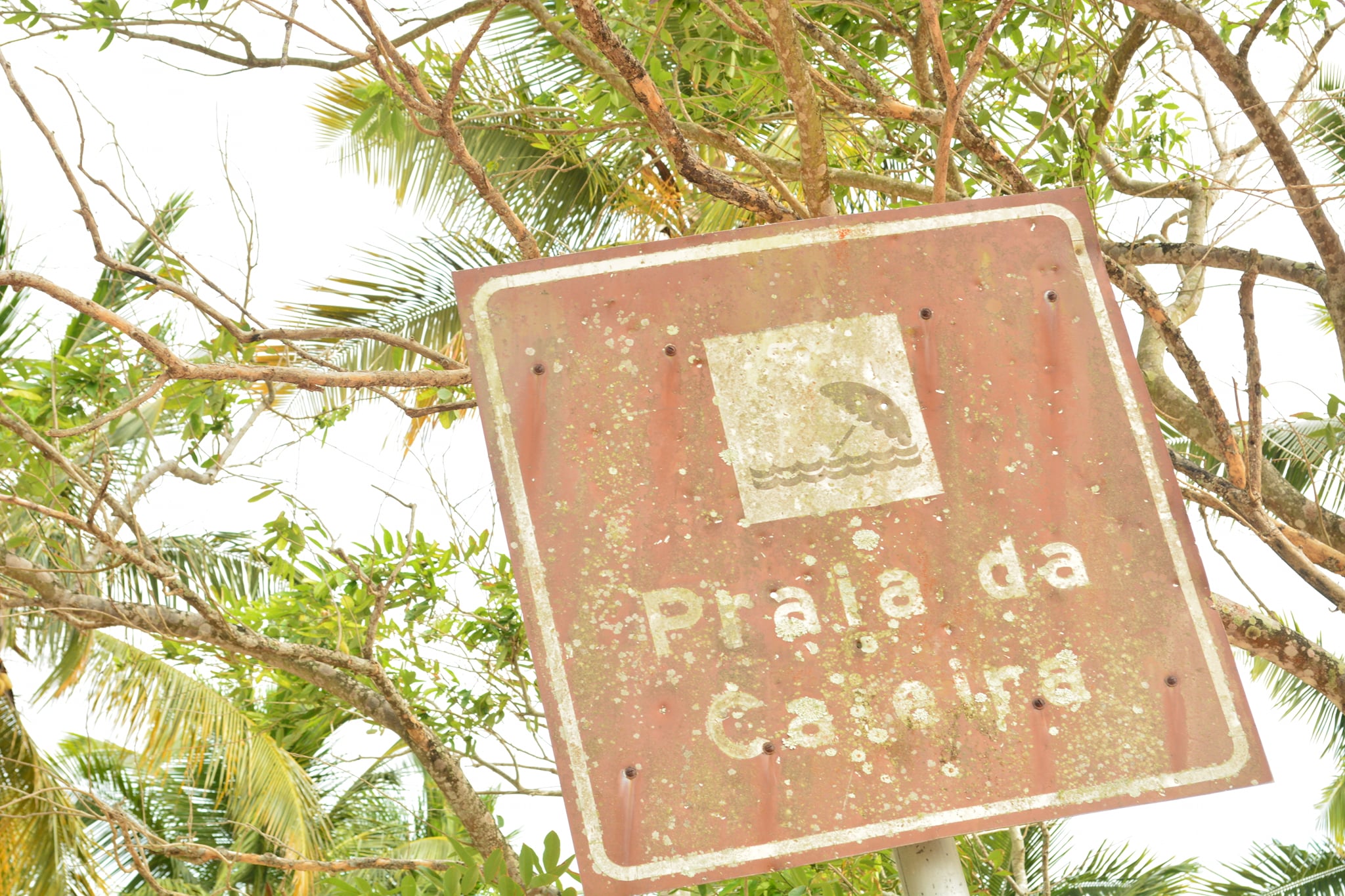 Paleoembarcações